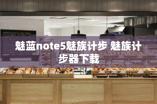 魅蓝note5魅族计步 魅族计步器下载