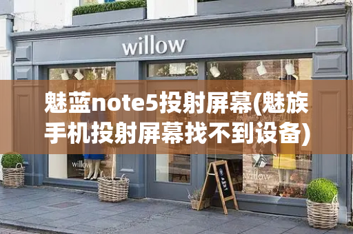 魅蓝note5投射屏幕(魅族手机投射屏幕找不到设备)-第1张图片-星选测评