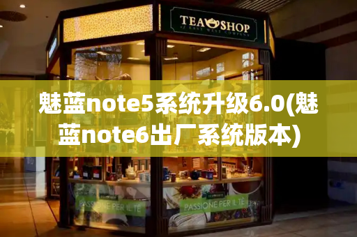 魅蓝note5系统升级6.0(魅蓝note6出厂系统版本)-第1张图片-星选测评