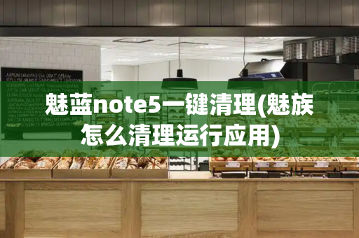 魅蓝note5一键清理(魅族怎么清理运行应用)-第1张图片-星选测评