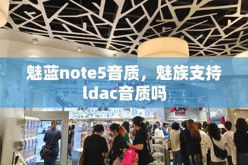 魅蓝note5音质，魅族支持ldac音质吗-第1张图片-星选测评