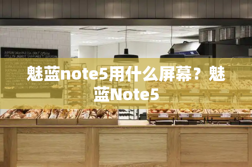 魅蓝note5用什么屏幕？魅蓝Note5