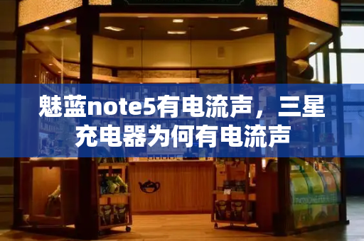 魅蓝note5有电流声，三星充电器为何有电流声-第1张图片-星选测评