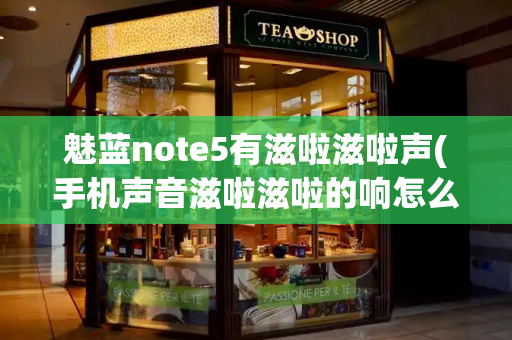 魅蓝note5有滋啦滋啦声(手机声音滋啦滋啦的响怎么回事)-第1张图片-星选测评