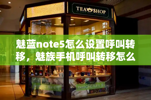魅蓝note5怎么设置呼叫转移，魅族手机呼叫转移怎么设置
