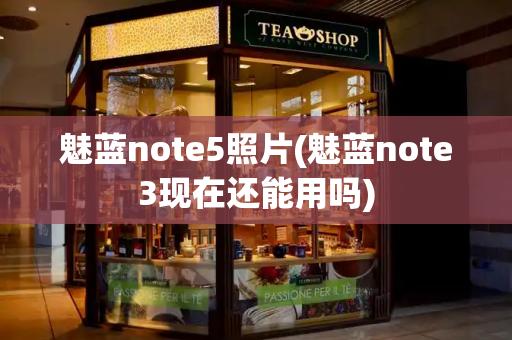 魅蓝note5照片(魅蓝note3现在还能用吗)