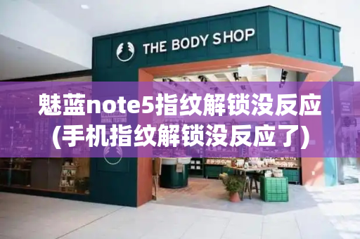 魅蓝note5指纹解锁没反应(手机指纹解锁没反应了)