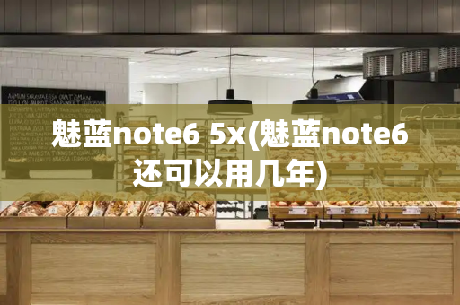 魅蓝note6 5x(魅蓝note6还可以用几年)
