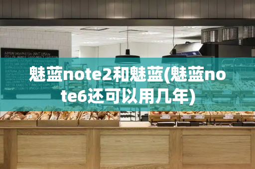 魅蓝note2和魅蓝(魅蓝note6还可以用几年)-第1张图片-星选测评