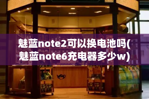 魅蓝note2可以换电池吗(魅蓝note6充电器多少w)-第1张图片-星选测评