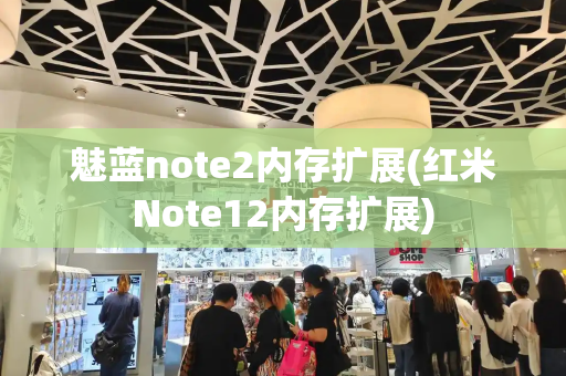 魅蓝note2内存扩展(红米Note12内存扩展)-第1张图片-星选测评