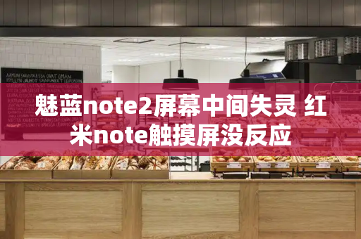 魅蓝note2屏幕中间失灵 红米note触摸屏没反应