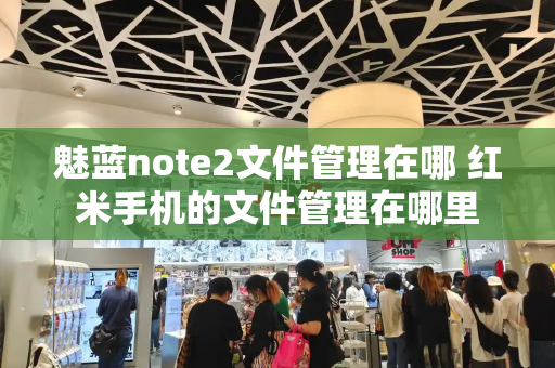 魅蓝note2文件管理在哪 红米手机的文件管理在哪里-第1张图片-星选测评