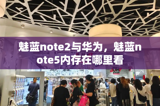 魅蓝note2与华为，魅蓝note5内存在哪里看