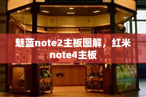 魅蓝note2主板图解，红米note4主板-第1张图片-星选测评