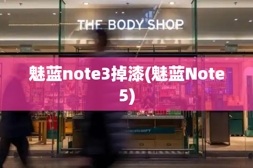 魅蓝note3掉漆(魅蓝Note5)-第1张图片-星选测评