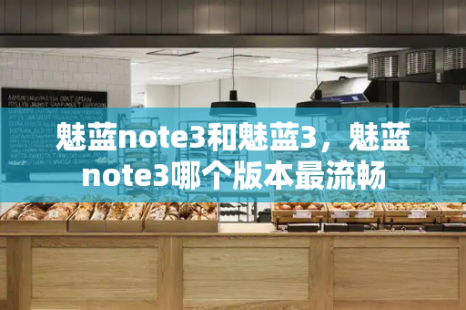 魅蓝note3和魅蓝3，魅蓝note3哪个版本最流畅-第1张图片-星选测评