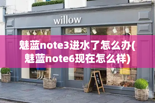 魅蓝note3进水了怎么办(魅蓝note6现在怎么样)