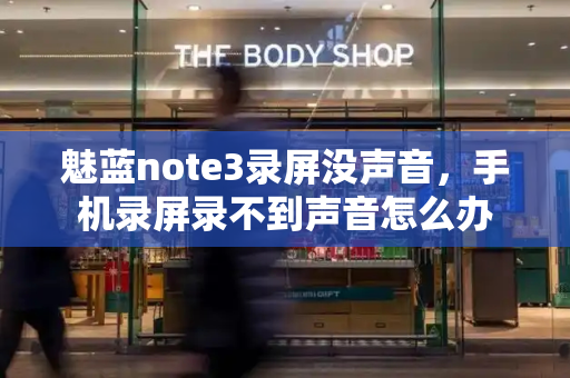 魅蓝note3录屏没声音，手机录屏录不到声音怎么办-第1张图片-星选测评