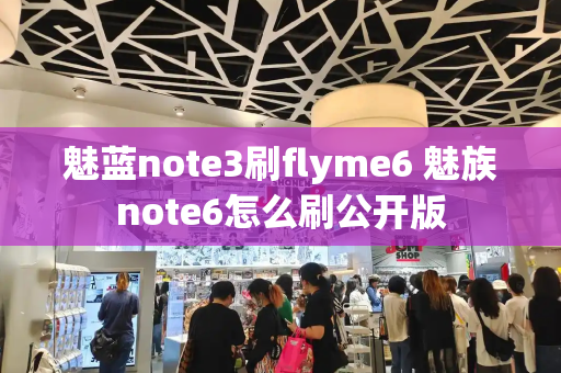 魅蓝note3刷flyme6 魅族note6怎么刷公开版