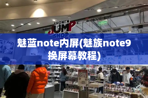 魅蓝note内屏(魅族note9换屏幕教程)
