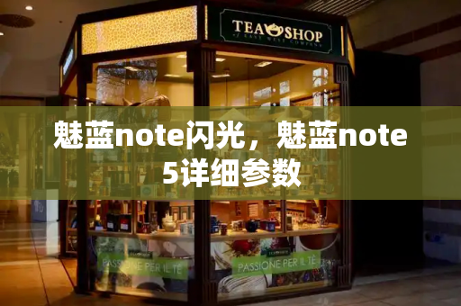 魅蓝note闪光，魅蓝note5详细参数