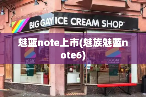 魅蓝note上市(魅族魅蓝note6)-第1张图片-星选测评