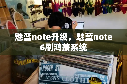 魅蓝note升级，魅蓝note6刷鸿蒙系统