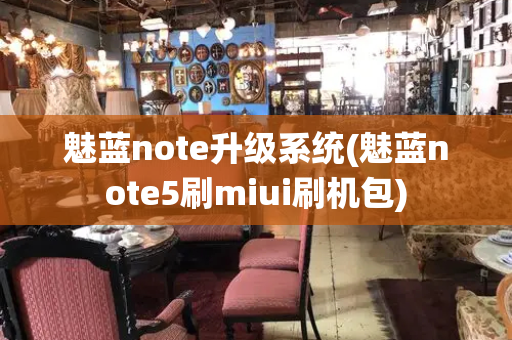 魅蓝note升级系统(魅蓝note5刷miui刷机包)-第1张图片-星选测评