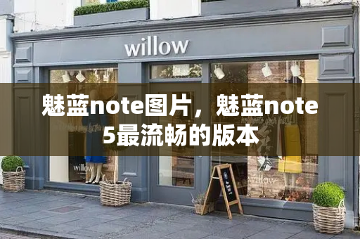 魅蓝note图片，魅蓝note5最流畅的版本-第1张图片-星选测评