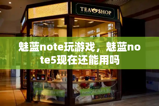 魅蓝note玩游戏，魅蓝note5现在还能用吗