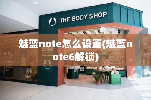 魅蓝note怎么设置(魅蓝note6解锁)-第1张图片-星选测评