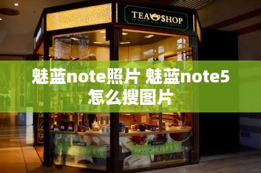魅蓝note照片 魅蓝note5怎么搜图片