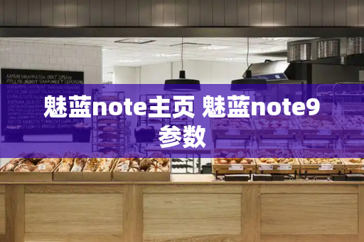 魅蓝note主页 魅蓝note9参数-第1张图片-星选测评