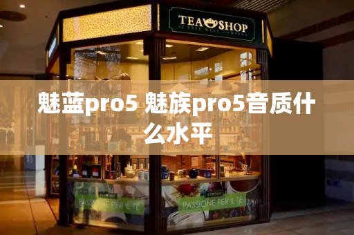 魅蓝pro5 魅族pro5音质什么水平