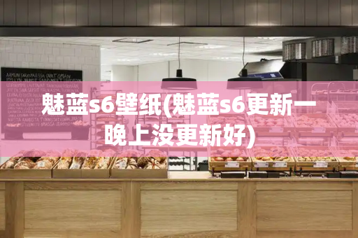 魅蓝s6壁纸(魅蓝s6更新一晚上没更新好)