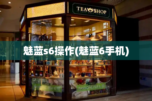 魅蓝s6操作(魅蓝6手机)-第1张图片-星选测评