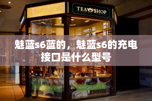 魅蓝s6蓝的，魅蓝s6的充电接口是什么型号-第1张图片-星选测评
