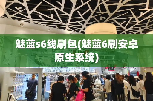魅蓝s6线刷包(魅蓝6刷安卓原生系统)-第1张图片-星选测评
