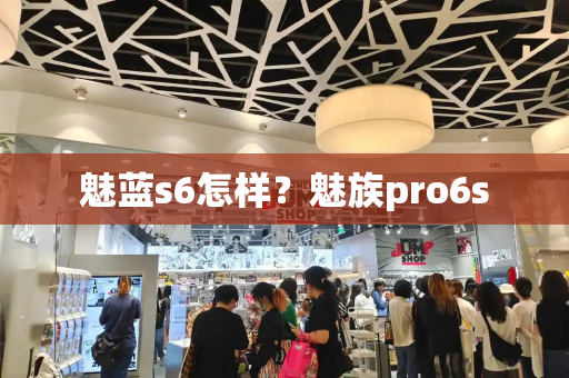 魅蓝s6怎样？魅族pro6s