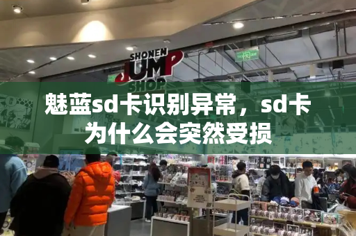 魅蓝sd卡识别异常，sd卡为什么会突然受损