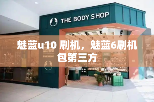 魅蓝u10 刷机，魅蓝6刷机包第三方-第1张图片-星选测评