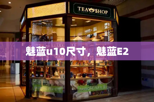 魅蓝u10尺寸，魅蓝E2-第1张图片-星选测评