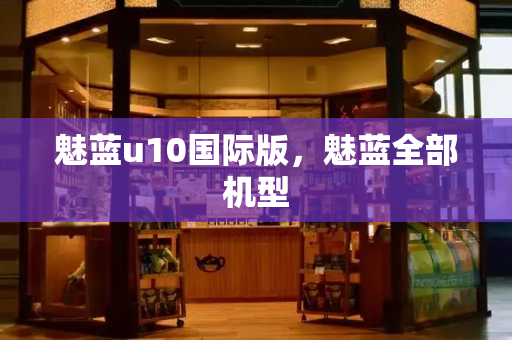 魅蓝u10国际版，魅蓝全部机型-第1张图片-星选测评