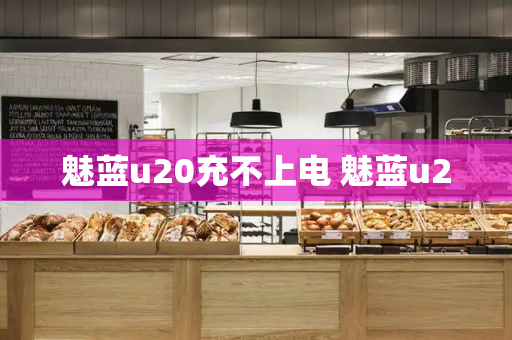 魅蓝u20充不上电 魅蓝u20