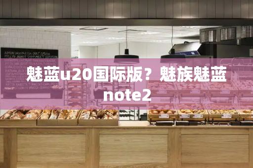 魅蓝u20国际版？魅族魅蓝note2