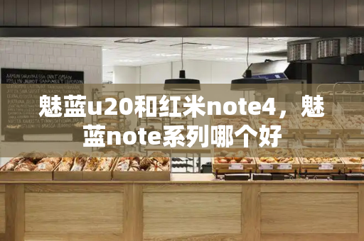 魅蓝u20和红米note4，魅蓝note系列哪个好