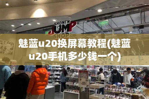 魅蓝u20换屏幕教程(魅蓝u20手机多少钱一个)-第1张图片-星选测评