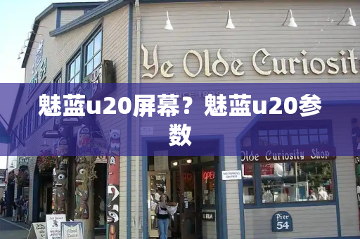 魅蓝u20屏幕？魅蓝u20参数-第1张图片-星选测评