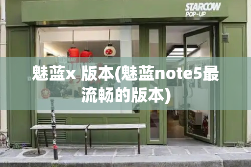 魅蓝x 版本(魅蓝note5最流畅的版本)-第1张图片-星选测评